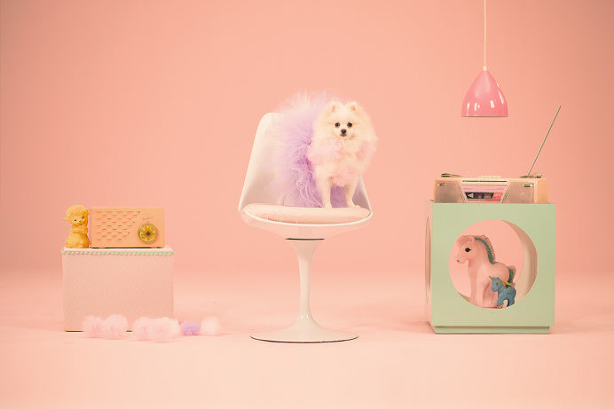 Strategic Marketing Brilliance: The Impact of Pantone's Color of the Year on Screen-Printed Apparel